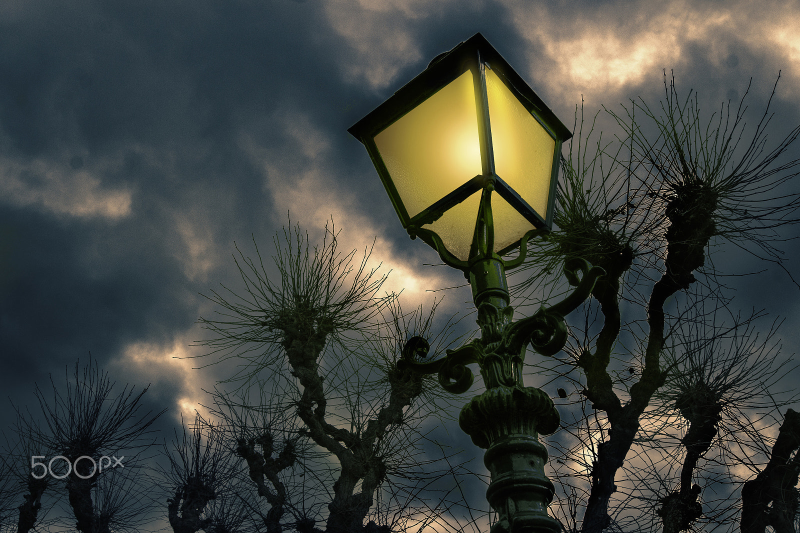 Sony Alpha DSLR-A500 + Sony DT 18-55mm F3.5-5.6 SAM sample photo. Antique streetlight and pollard willows photography