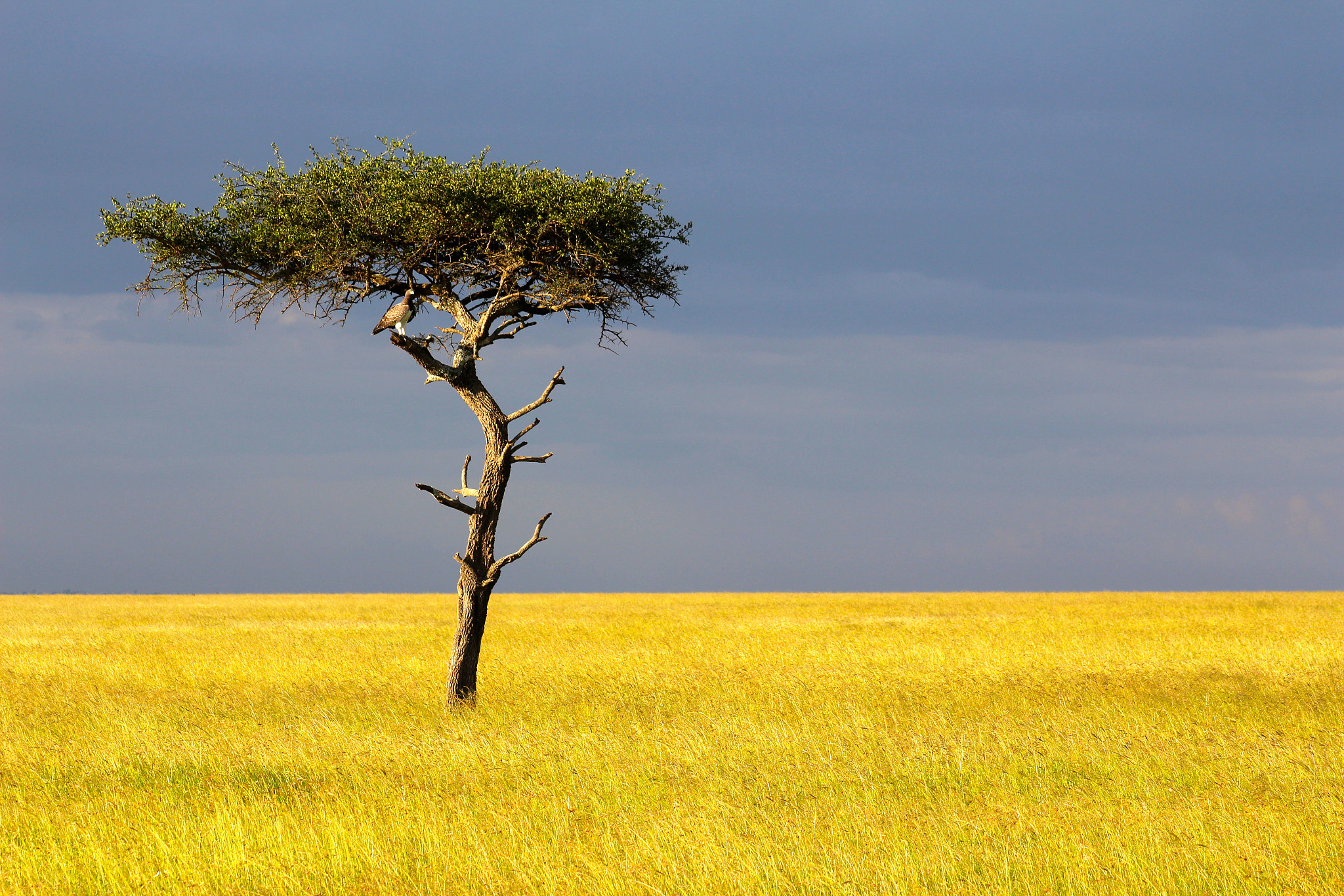 Canon EF 75-300mm f/4-5.6 USM sample photo. Img photography