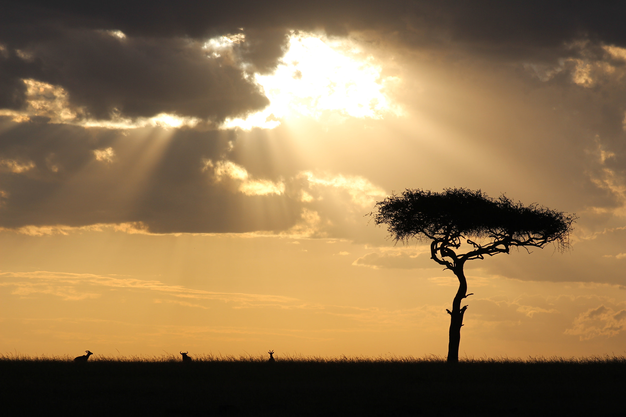 Canon EF 75-300mm f/4-5.6 USM sample photo. Img photography