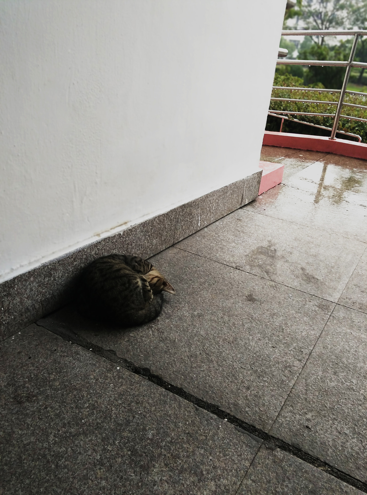 Xiaomi MI4 sample photo