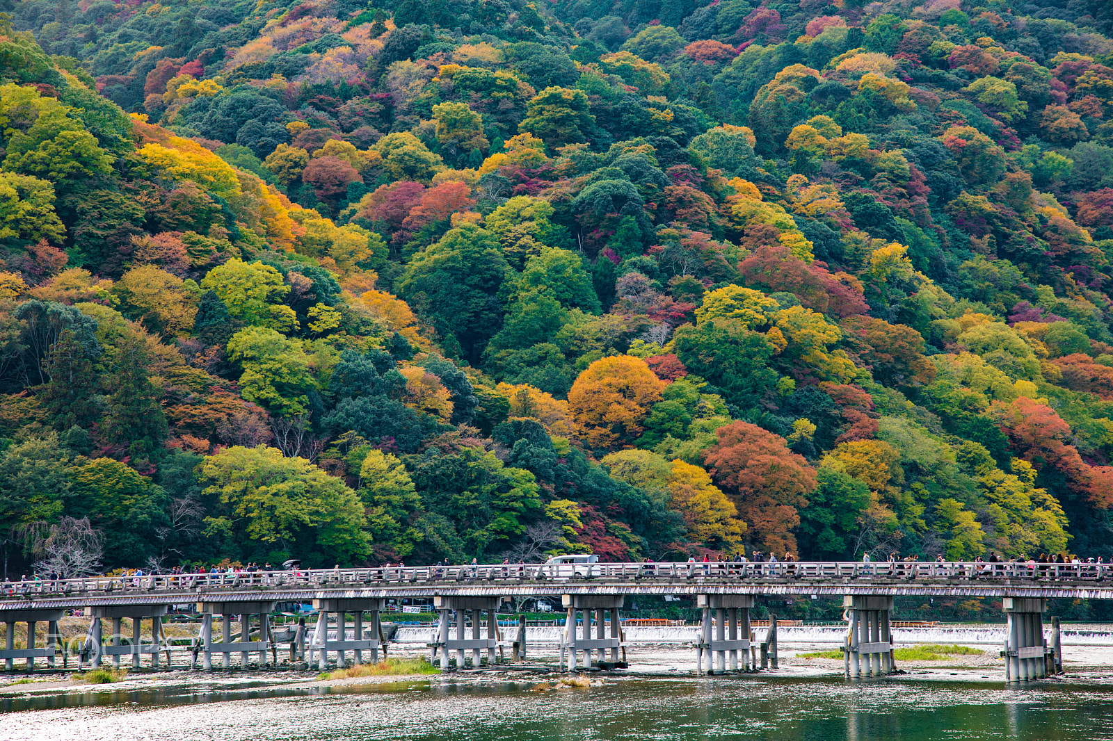 Canon EOS 5D Mark IV + Sigma 24-105mm f/4 DG OS HSM | A sample photo. Autumn afternoon in kyoto photography