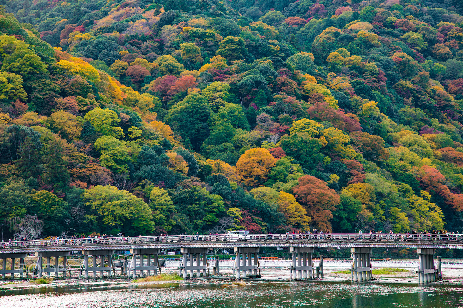 Canon EOS 5D Mark IV sample photo. Autumn afternoon in kyoto photography