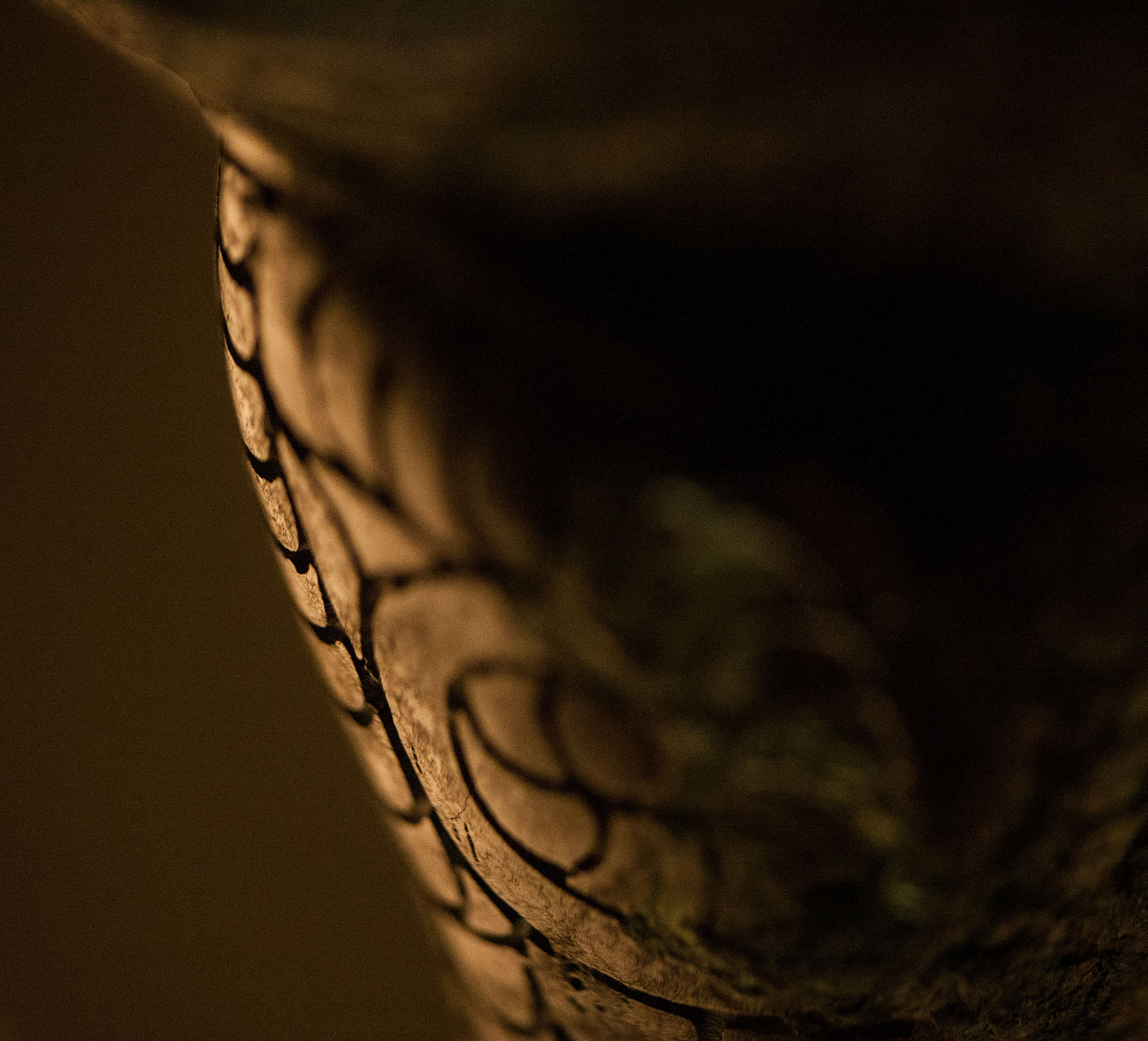 Canon EF 180mm F3.5L Macro USM sample photo