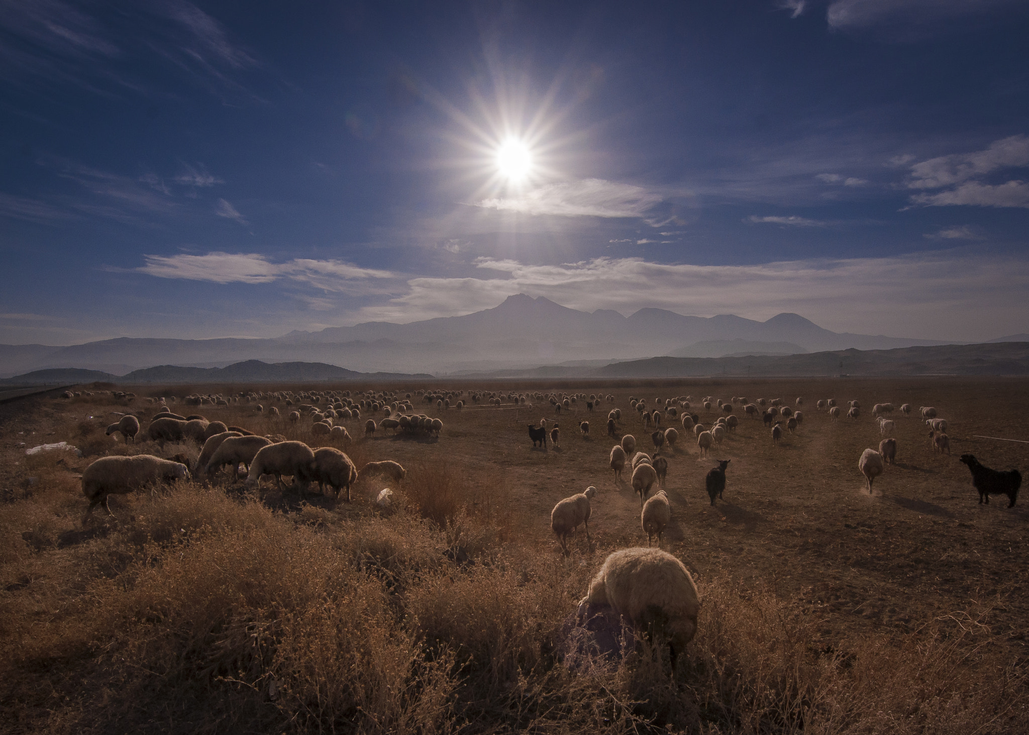 Nikon D90 + Tokina AT-X Pro 11-16mm F2.8 DX II sample photo. Kayseri photography