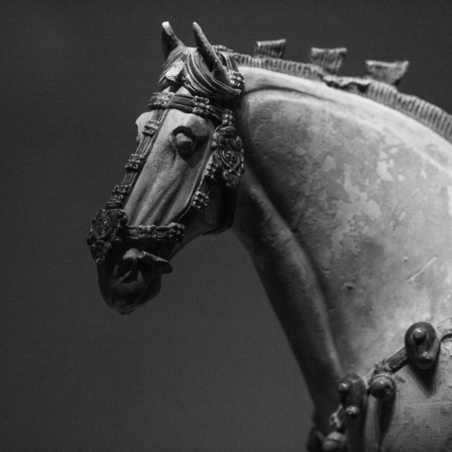 Canon EF 180mm F3.5L Macro USM sample photo