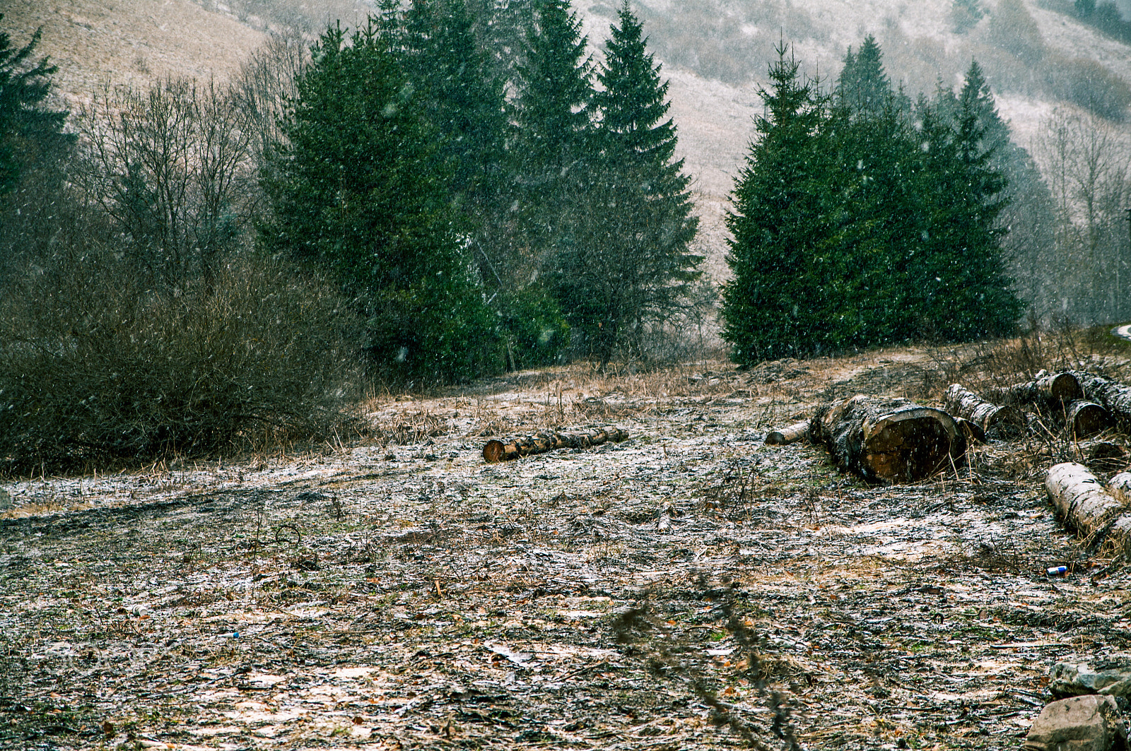 Pentax K-7 sample photo. Slovak weak winter photography