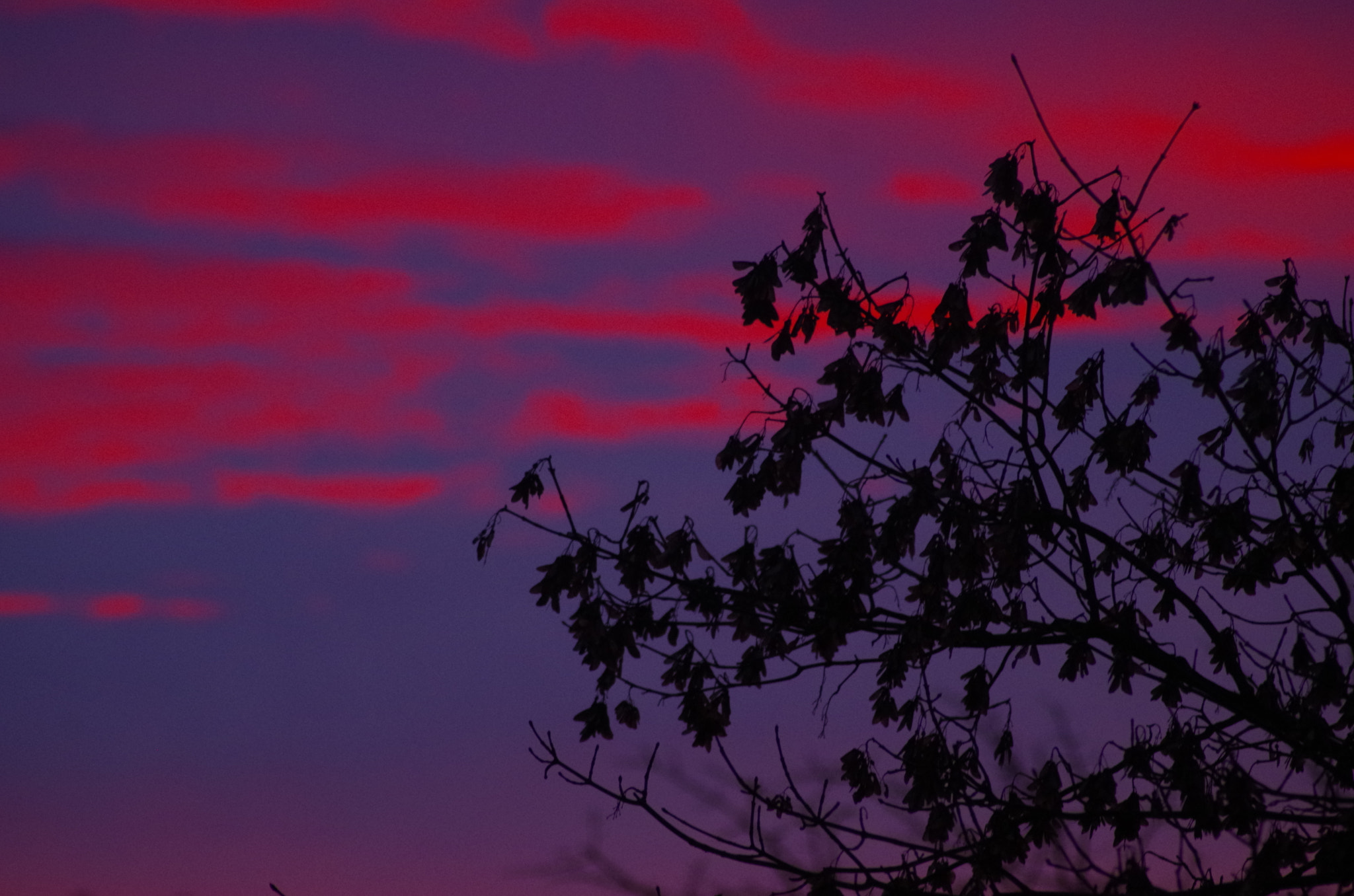 Tamron AF 70-300mm F4-5.6 LD Macro 1:2 sample photo. Beautiful sunrise photography