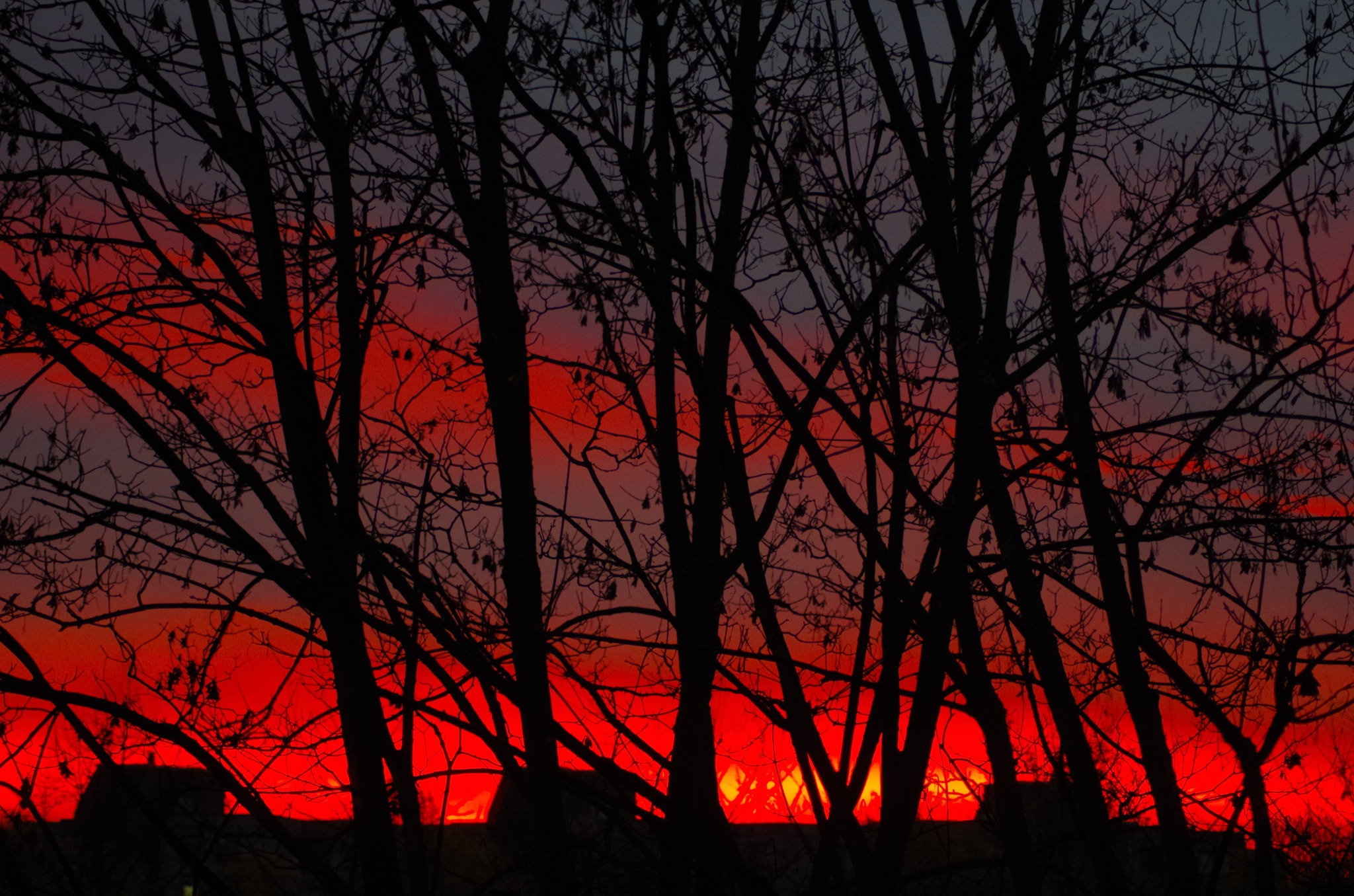 Tamron AF 70-300mm F4-5.6 LD Macro 1:2 sample photo. It's the fire sunrise! photography
