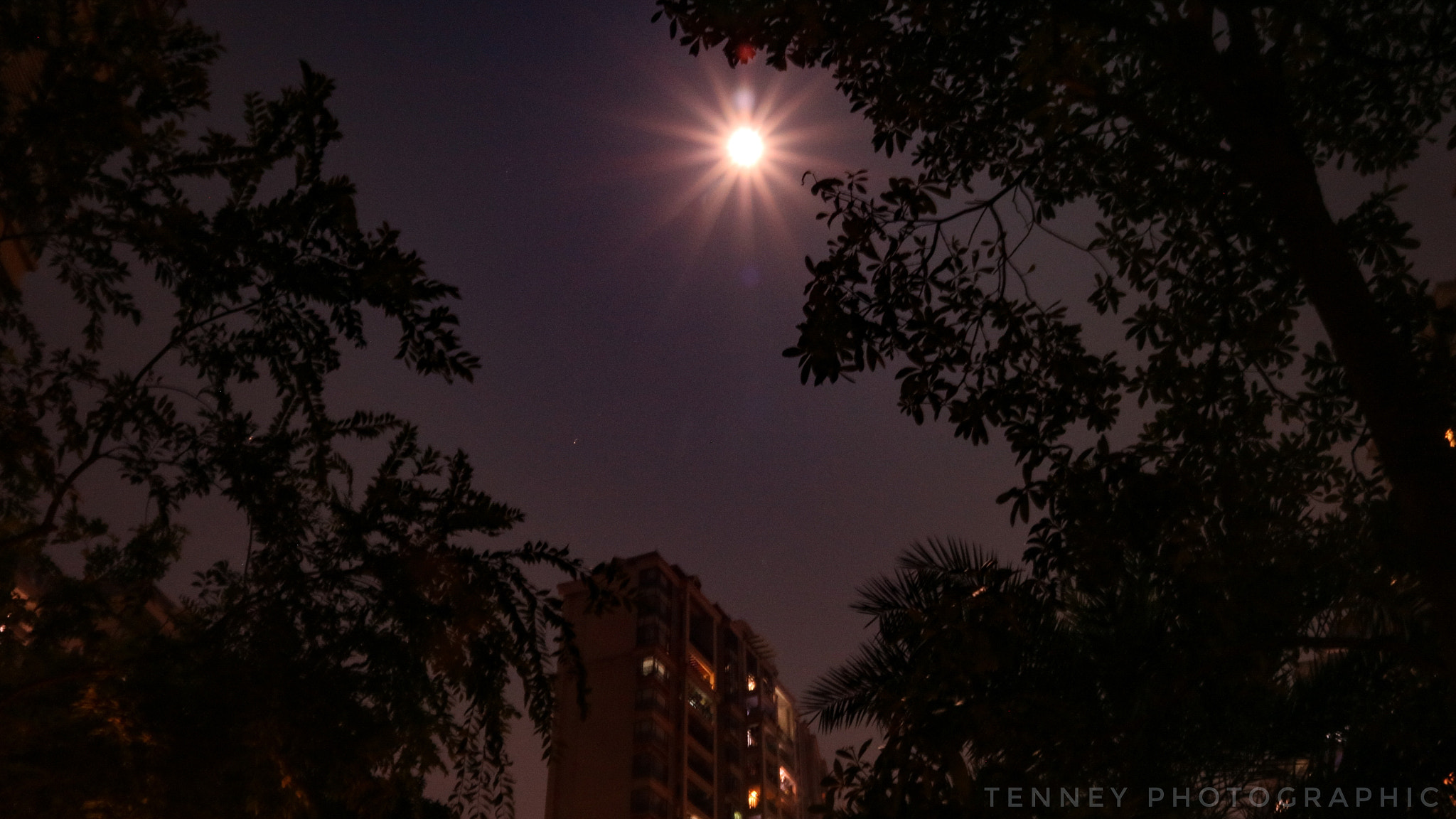 Canon EOS M3 sample photo. Super moon photography