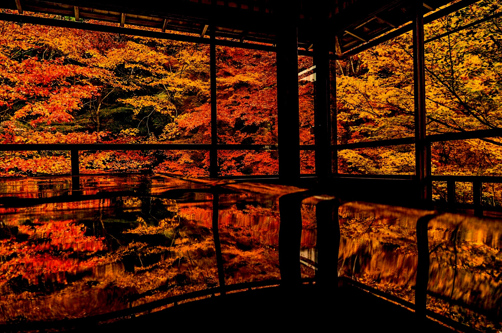 OLYMPUS M.12mm F2.0 sample photo. 瑠璃光院 photography