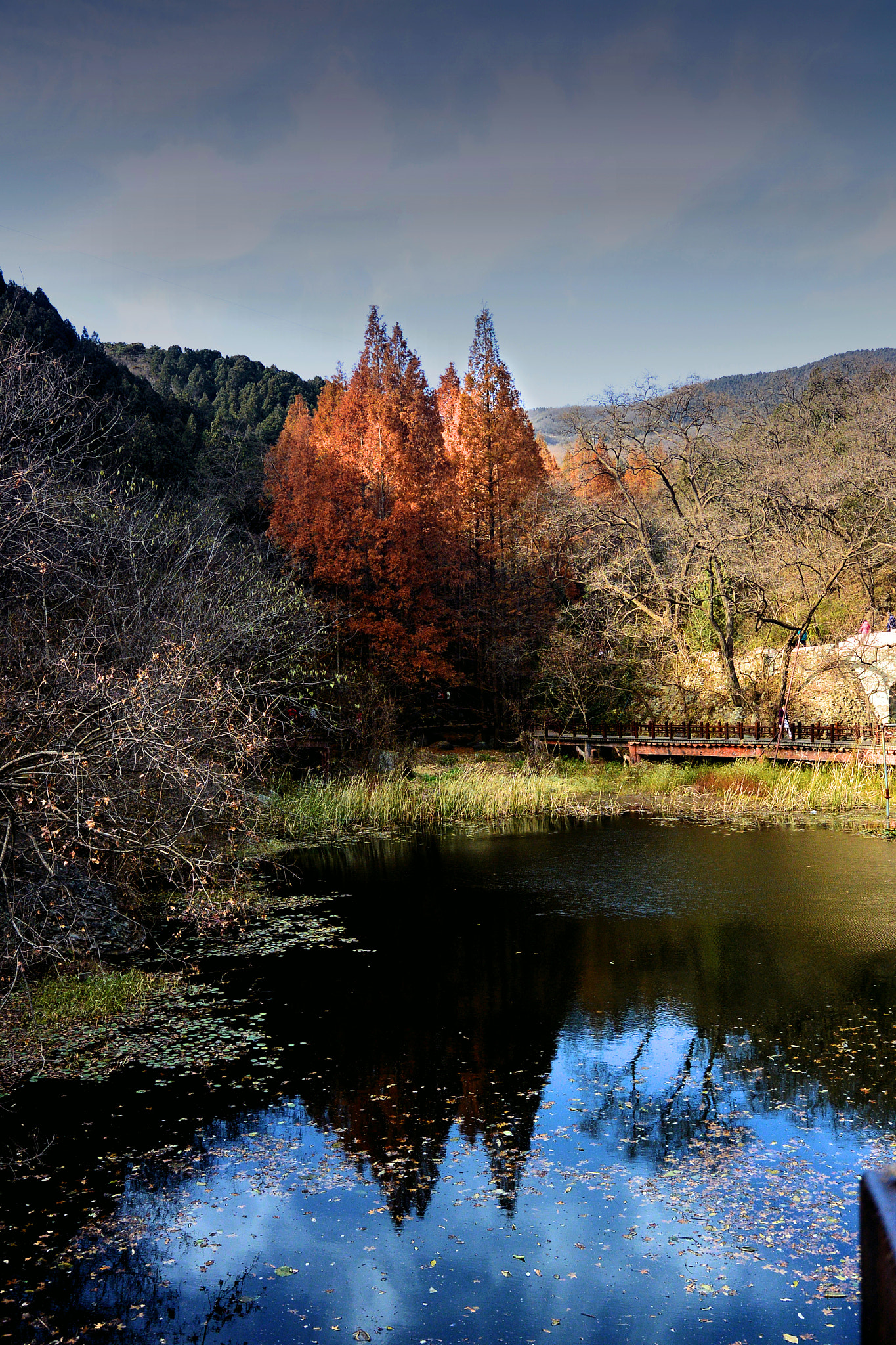 Nikon 1 J3 sample photo. Forest and lake photography