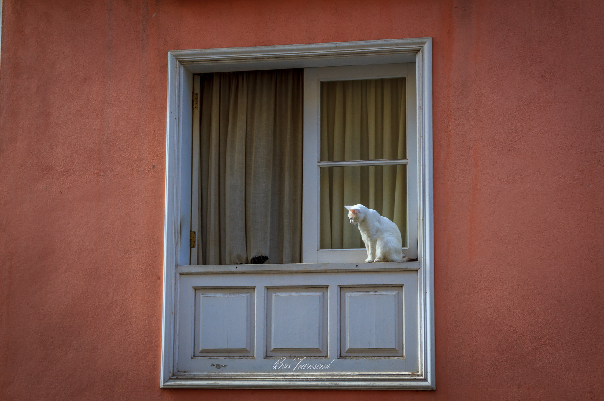 Canon EOS 1200D (EOS Rebel T5 / EOS Kiss X70 / EOS Hi) + Canon EF 24-105mm F4L IS USM sample photo. Watching the world go by... photography