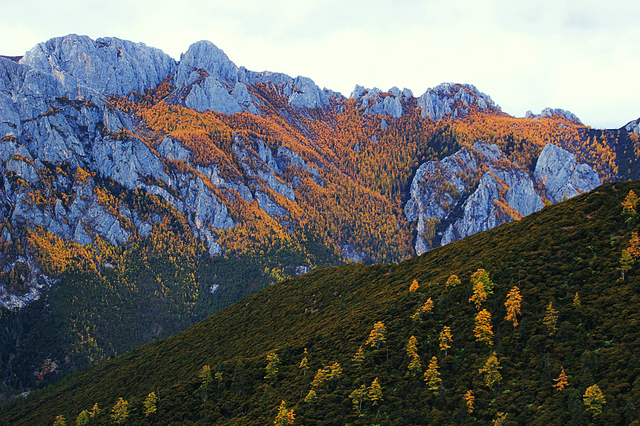 Sigma 18-125mm F3.8-5.6 DC OS HSM sample photo. Sichuan trip in autumn 2016 photography