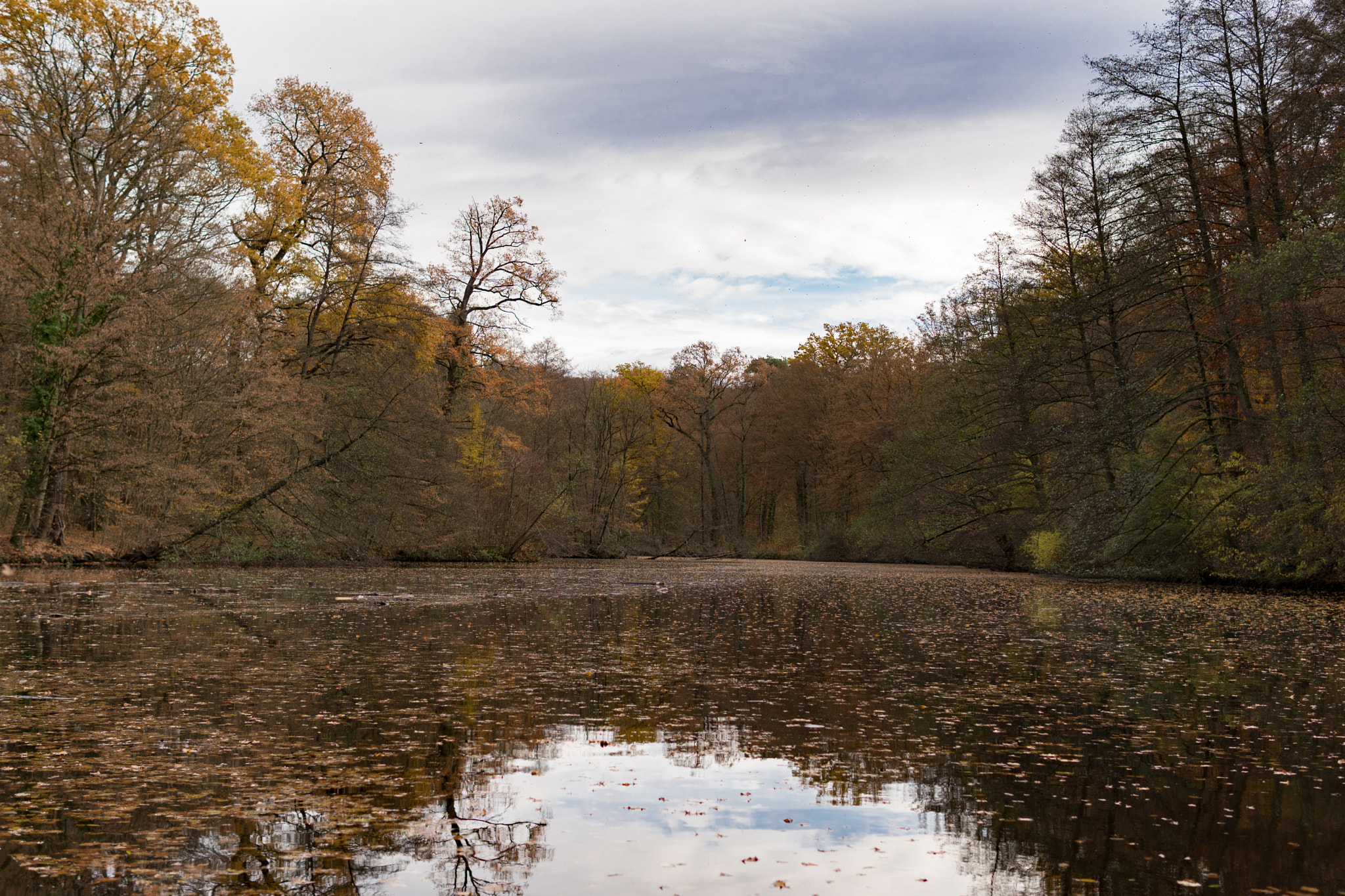 Sony a6300 sample photo. Luderbach lake frankfurt photography