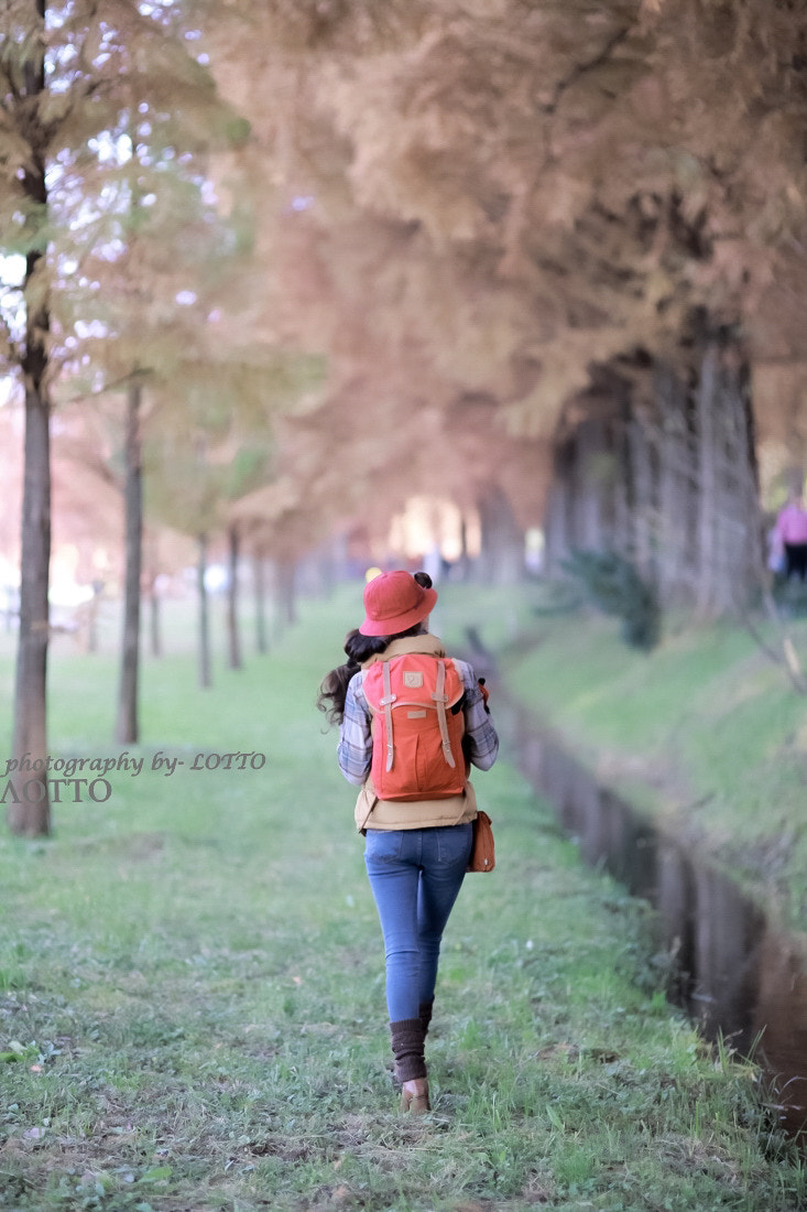 Sigma 85mm F1.4 EX DG HSM sample photo