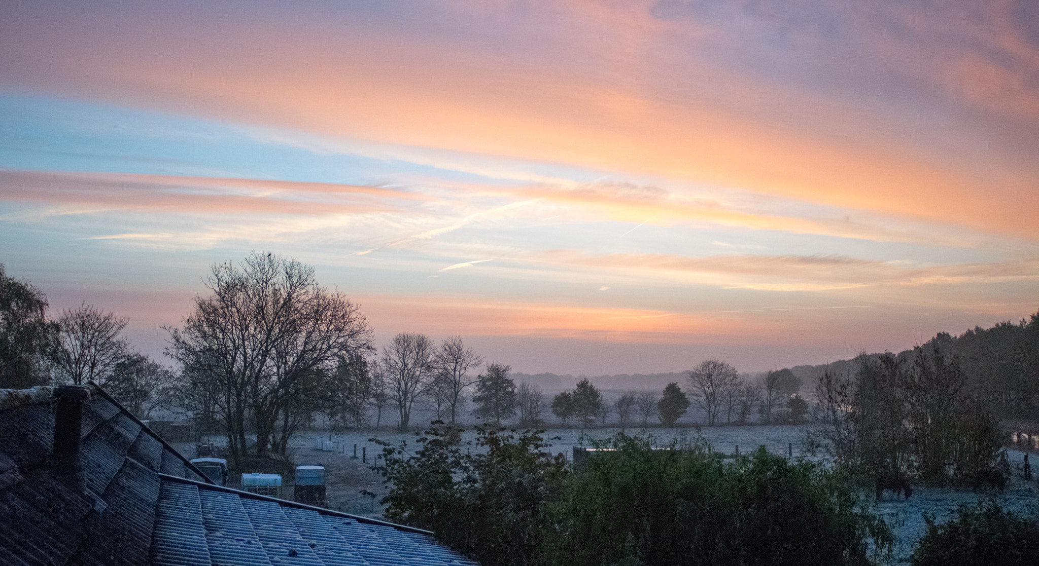 Nikon D5300 + Sigma 24mm F2.8 Super Wide II Macro sample photo. 08:45 am photography