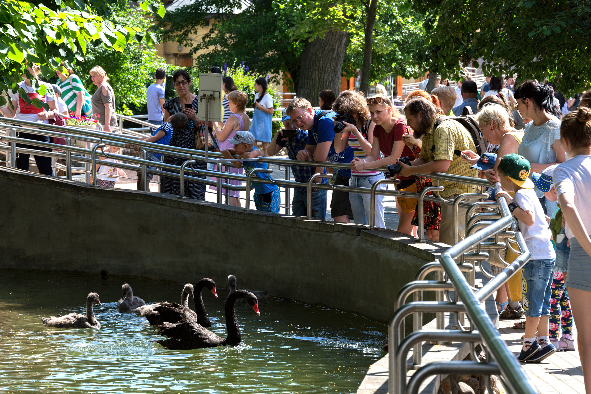 Sigma 18-200mm F3.5-6.3 DC OS HSM sample photo. Summer image. zoo. photography