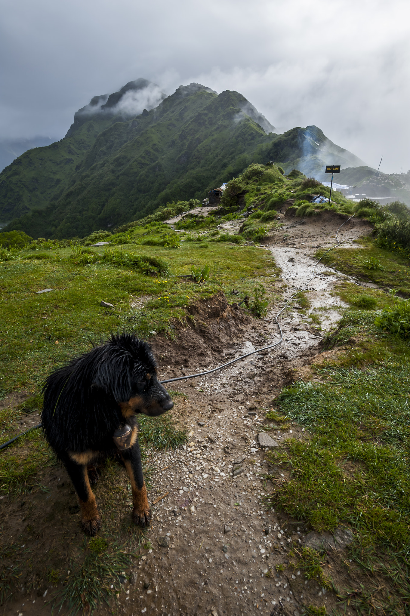 Nikon D700 + Nikon AF-S Nikkor 20mm F1.8G ED sample photo. The mastiffs and the mountains photography