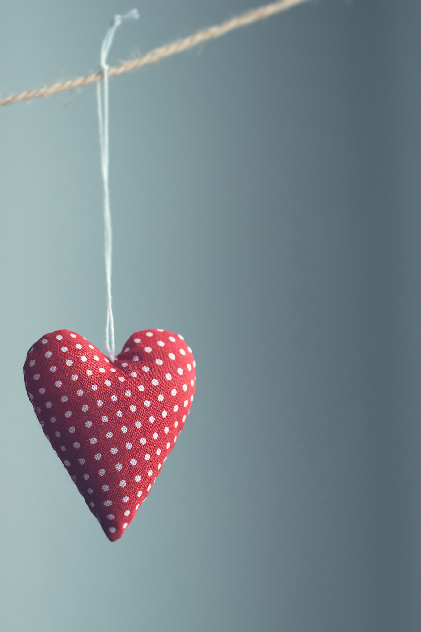 Canon EF 100mm F2.8L Macro IS USM sample photo. Beautiful red plush hearts hanging on rope with beautiful light photography