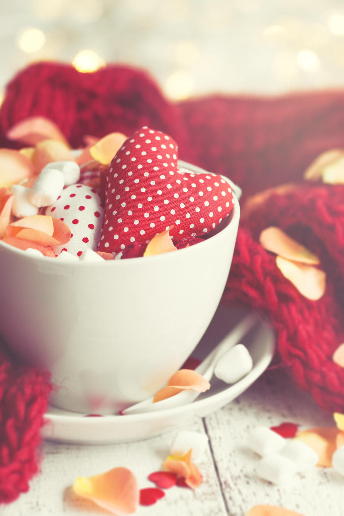 Canon EF 100mm F2.8L Macro IS USM sample photo. Red plush textile hearts with petals in a big cup, love or valen photography