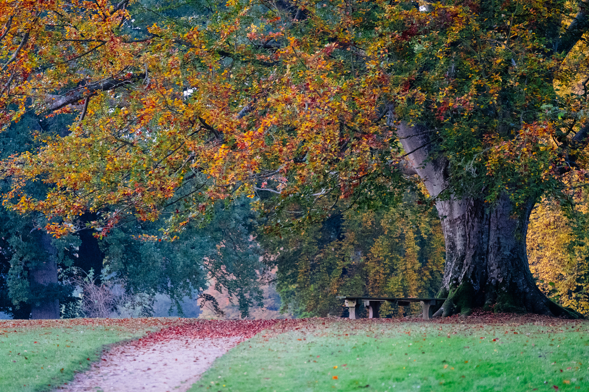 Fujifilm X-Pro2 sample photo. Vallø slotspark photography