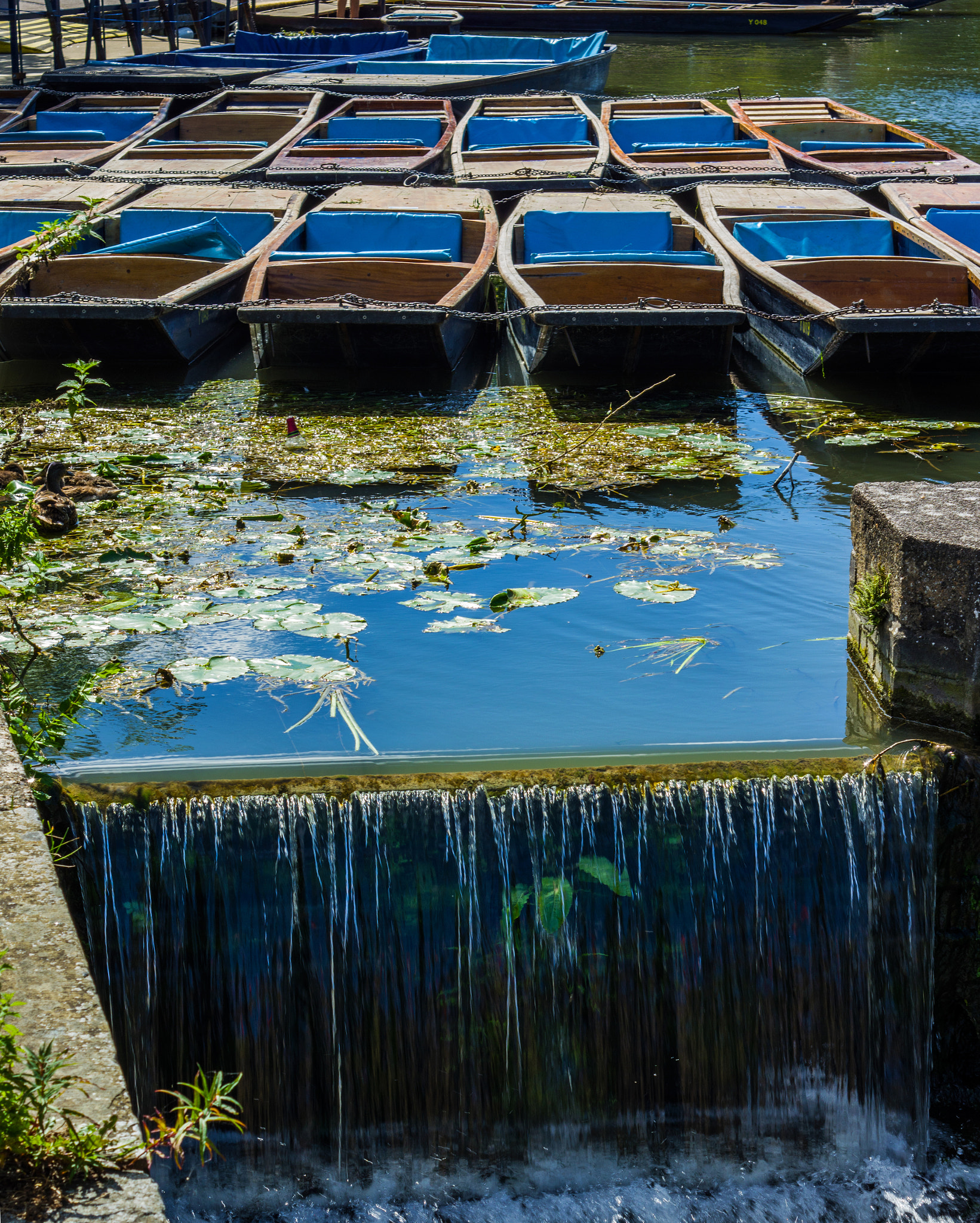 Pentax K-3 + A Series Lens sample photo. Punts on the river cam at cambridge photography