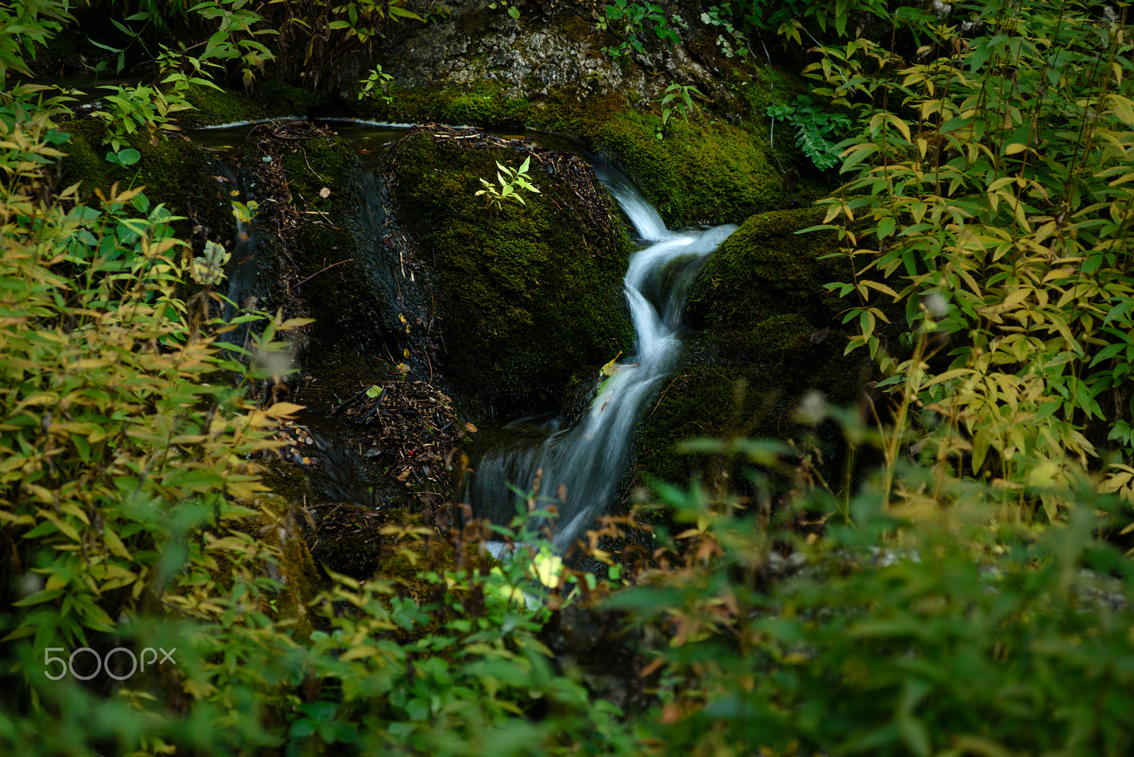 AF Zoom-Nikkor 80-200mm f/2.8 ED sample photo. Flow photography