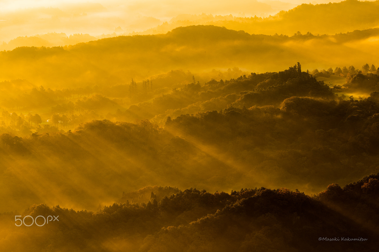Canon EF 70-200mm F4L IS USM sample photo. Morning with you photography