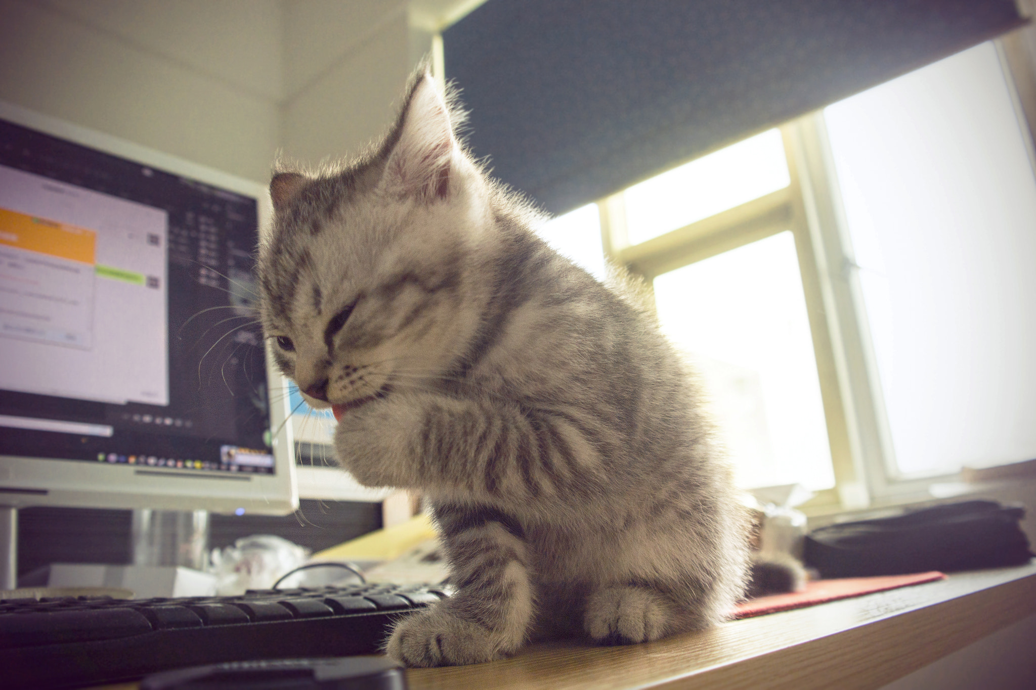 Samsung NX20 sample photo. This is my desk,my territory,haha photography