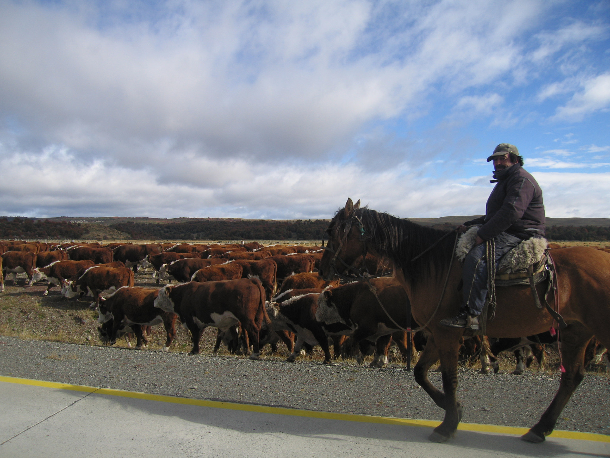 Canon POWERSHOT S70 sample photo. Patagonia cowboy photography