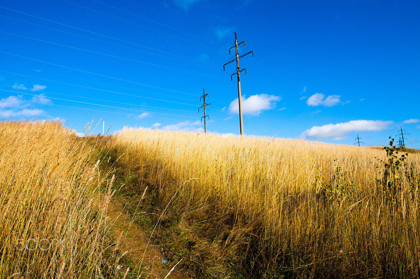 Canon EOS-1D Mark II N sample photo. High voltage pole photography
