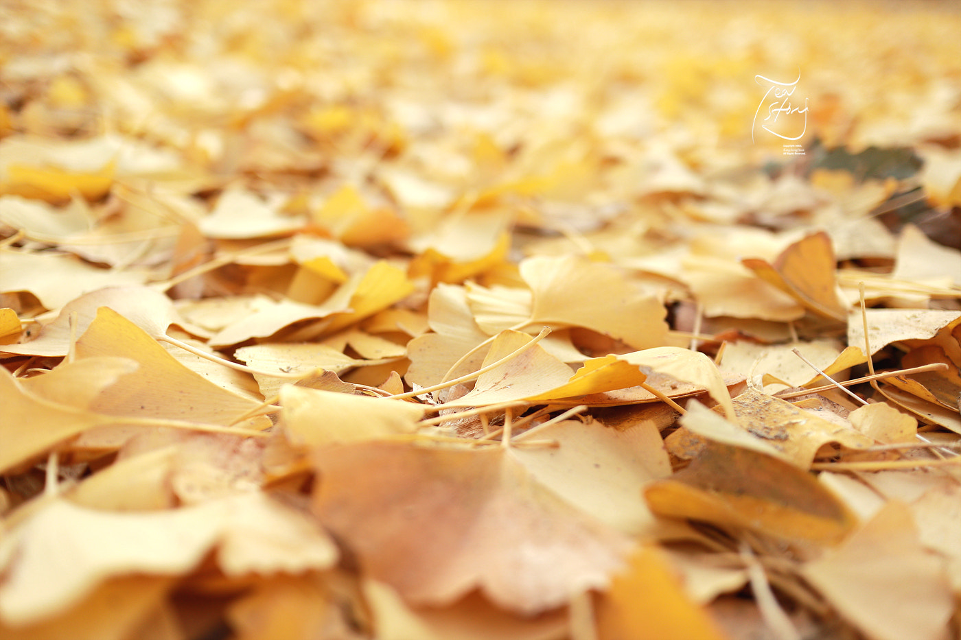 Canon EF-M 22mm F2 STM sample photo. 38 photography