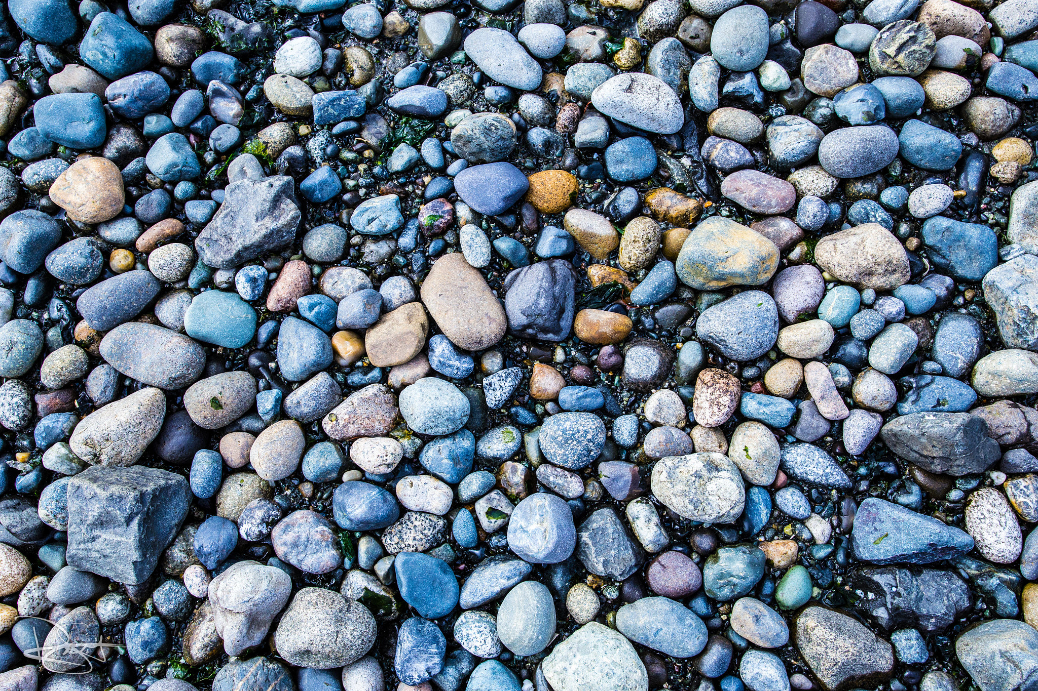Sigma 24-35mm F2 DG HSM Art sample photo. Rocky beaches of puget sound photography