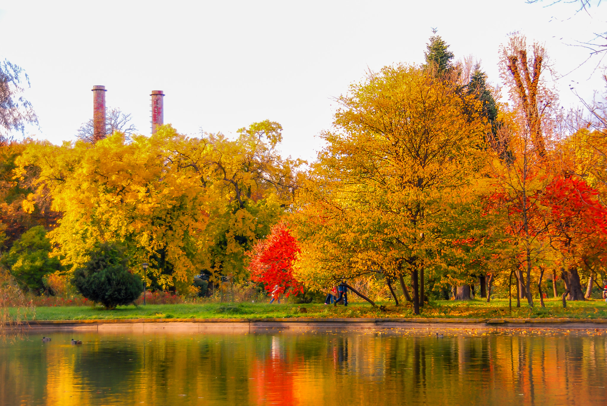 Nikon D60 sample photo. Bucharest botanic garden photography