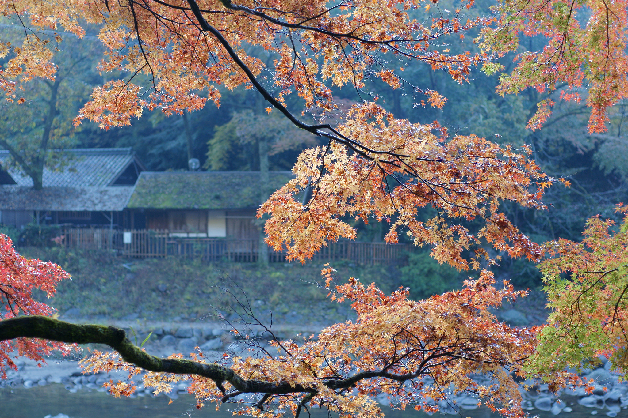 Sony Alpha DSLR-A700 + Sony 50mm F1.4 sample photo. 変わるもの変わらぬもの photography