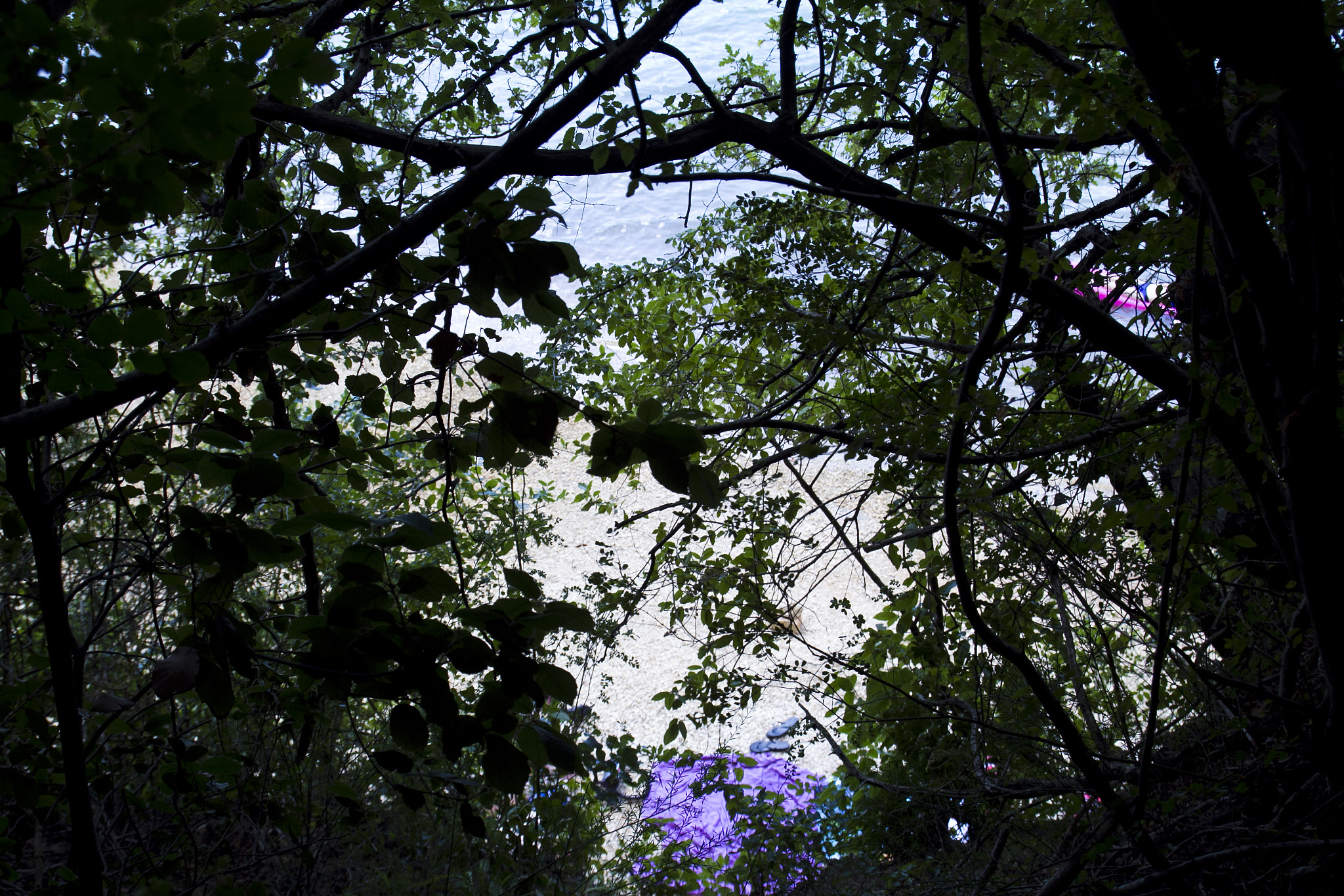 Canon EOS 60D sample photo. Forest and the beach photography