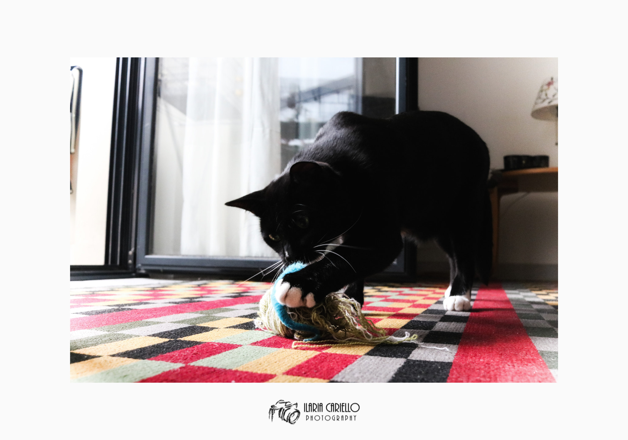 Canon EF-S 24mm F2.8 STM sample photo. - wanna play with me? photography