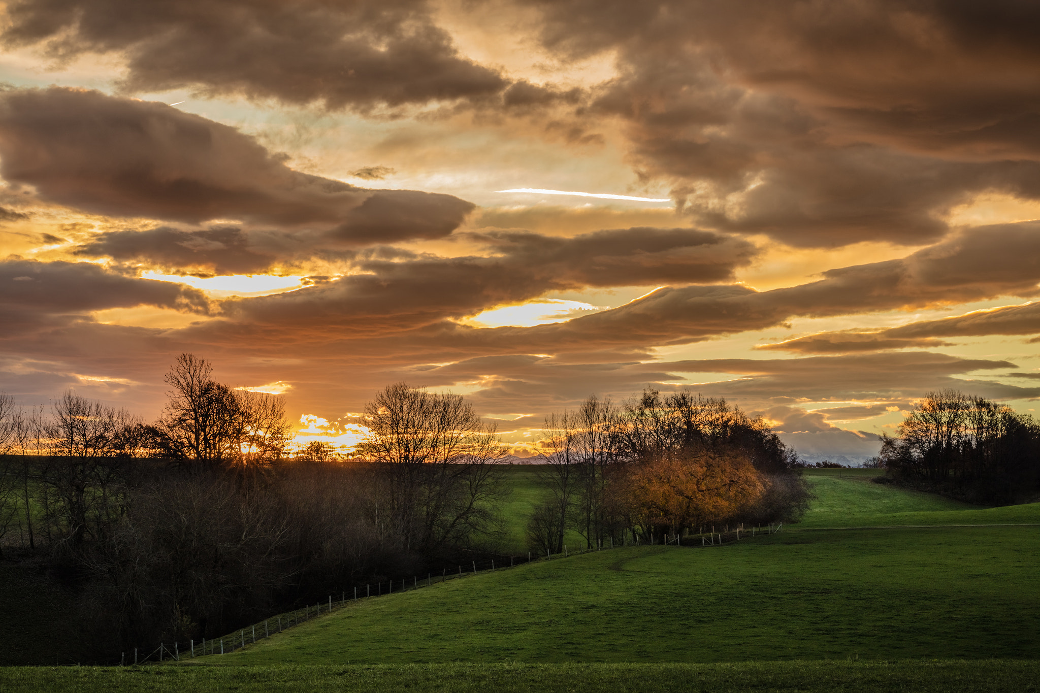 ZEISS Otus 85mm F1.4 sample photo. Sunrise photography