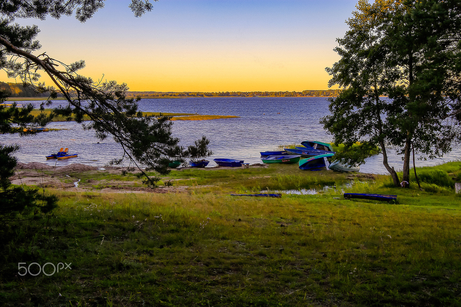 Canon EOS 6D sample photo. The window of the nature photography