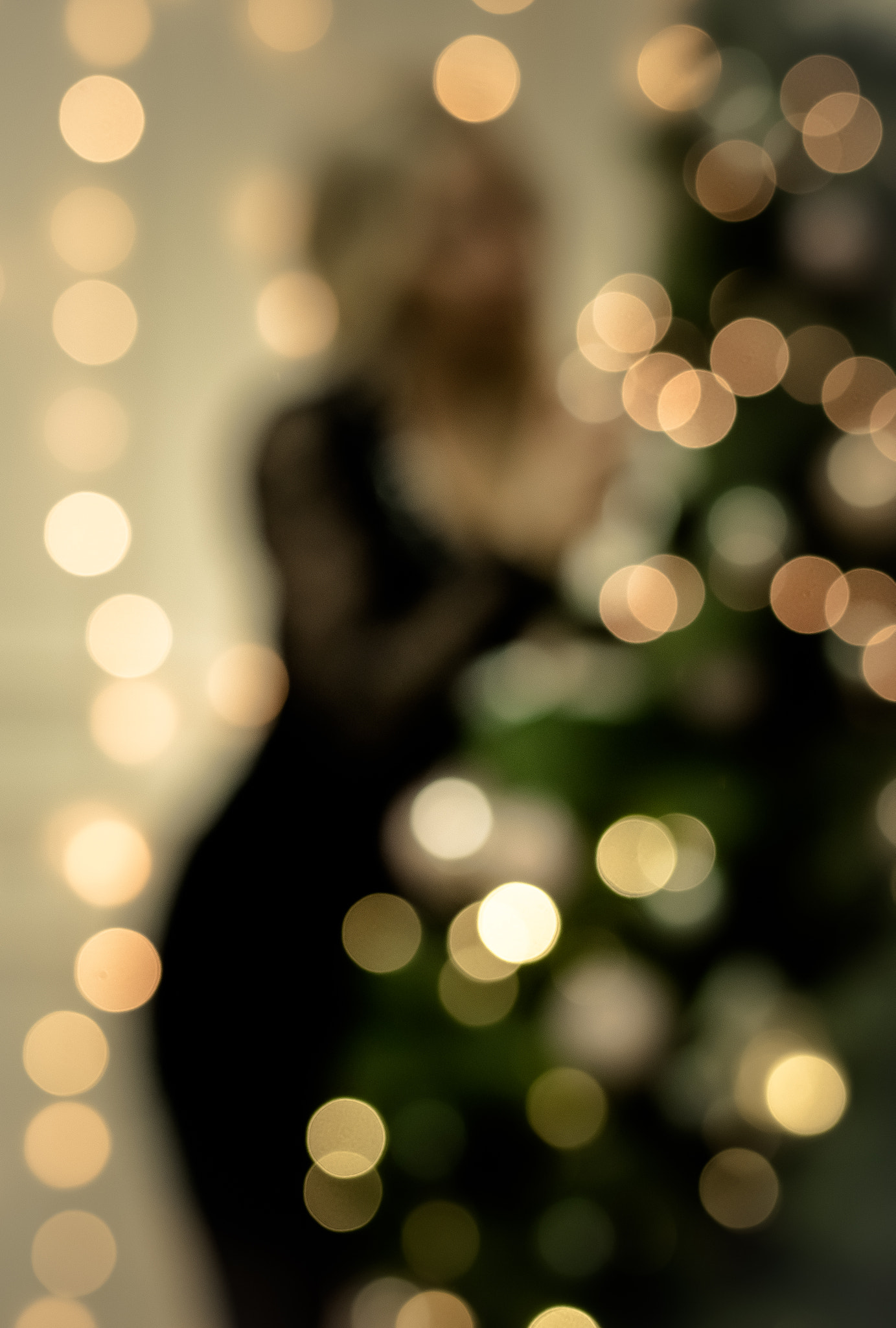 Panasonic Lumix DMC-GX7 + Olympus M.Zuiko Digital 45mm F1.8 sample photo. Christmas lights photography