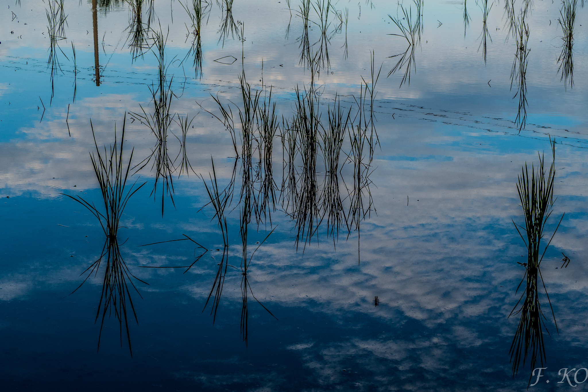 Olympus OM-D E-M5 II sample photo. Sky mirror in the farm photography