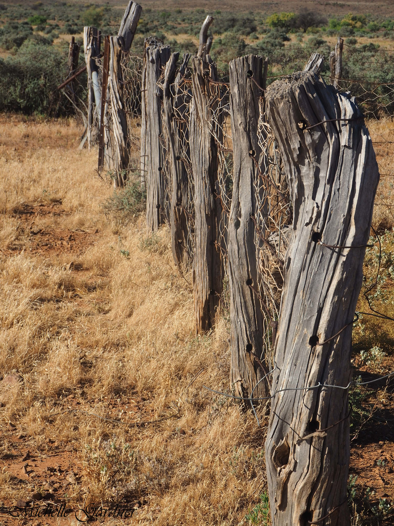 Olympus M.Zuiko Digital ED 14-42mm F3.5-5.6 EZ sample photo. Outback fence photography