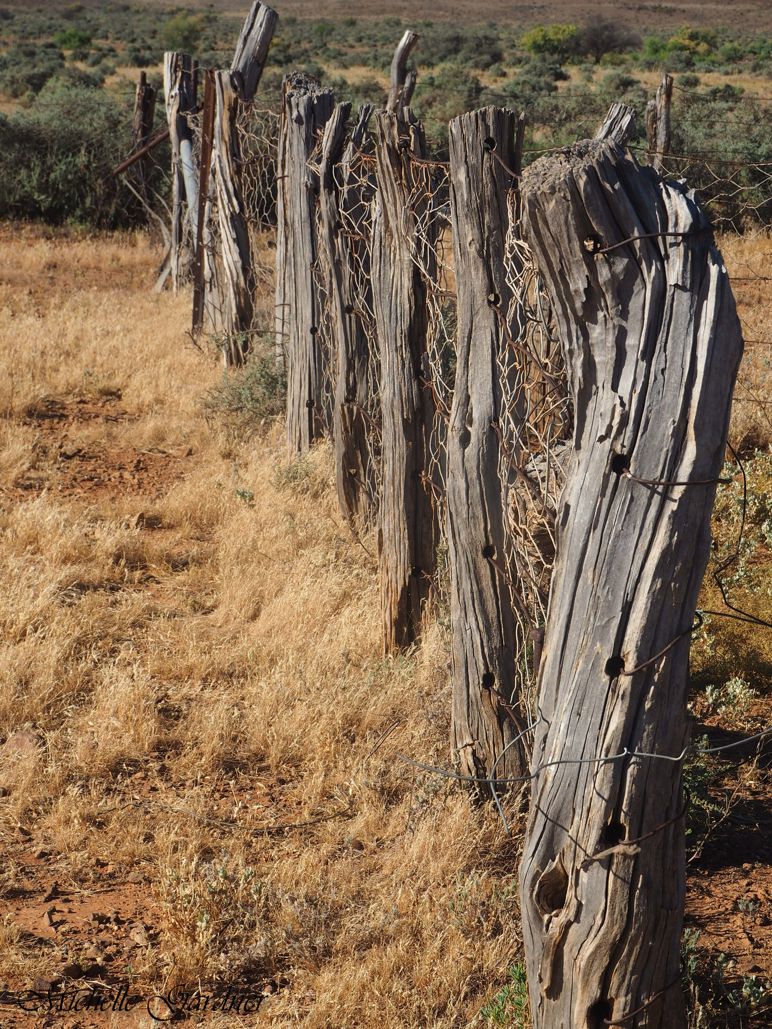 Olympus OM-D E-M10 + Olympus M.Zuiko Digital ED 14-42mm F3.5-5.6 EZ sample photo. Outback fence photography