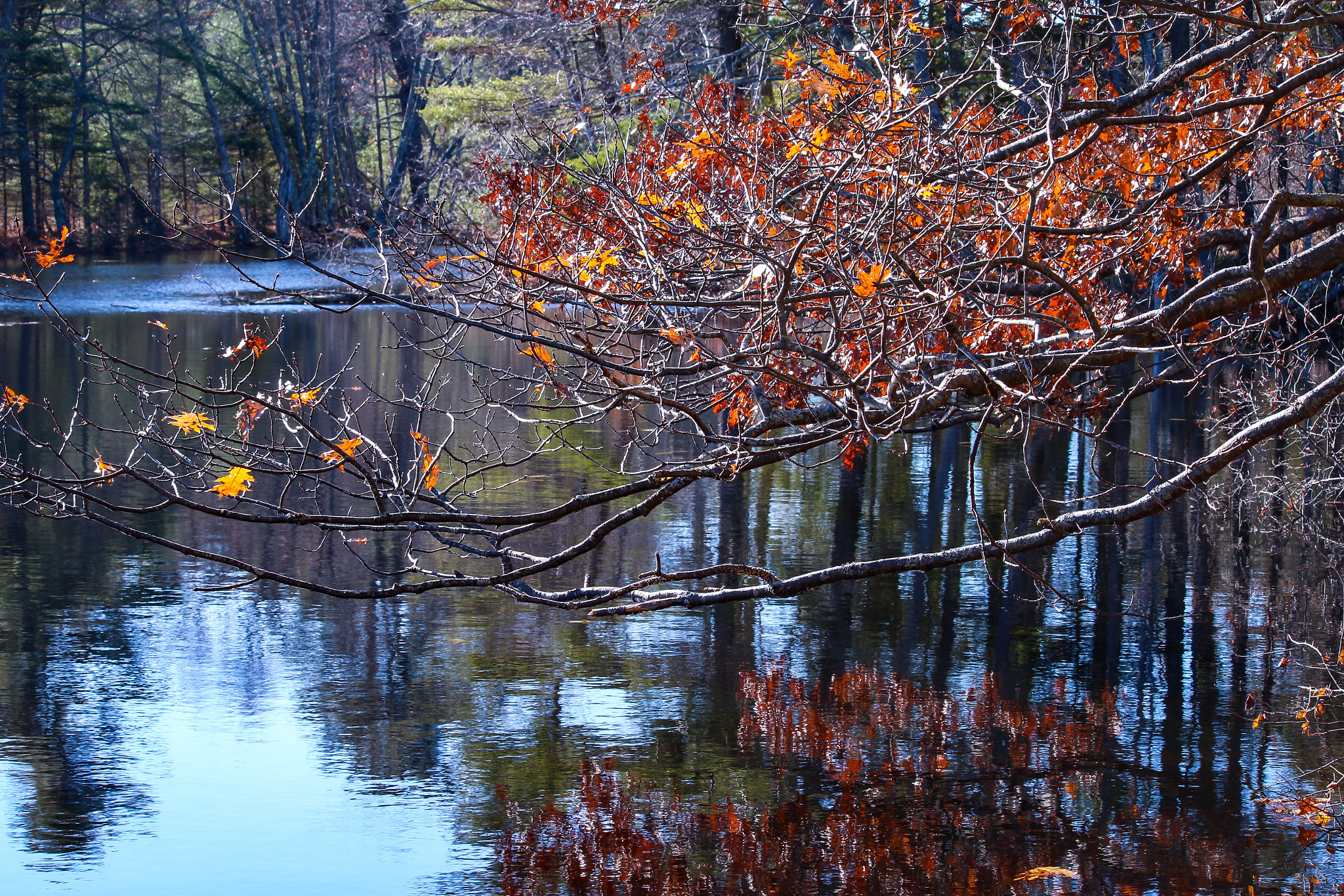 Canon EF-S 55-250mm F4-5.6 IS II sample photo. Fall reflections photography