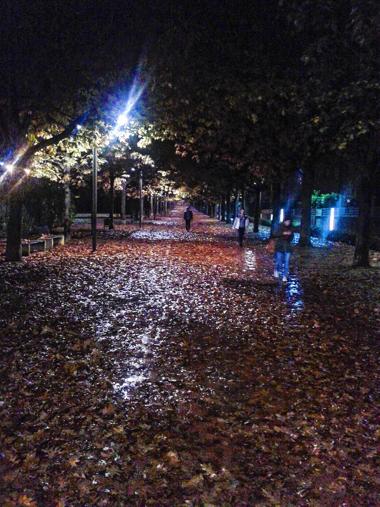 Samsung Galaxy Core sample photo. At dusk of autumn photography