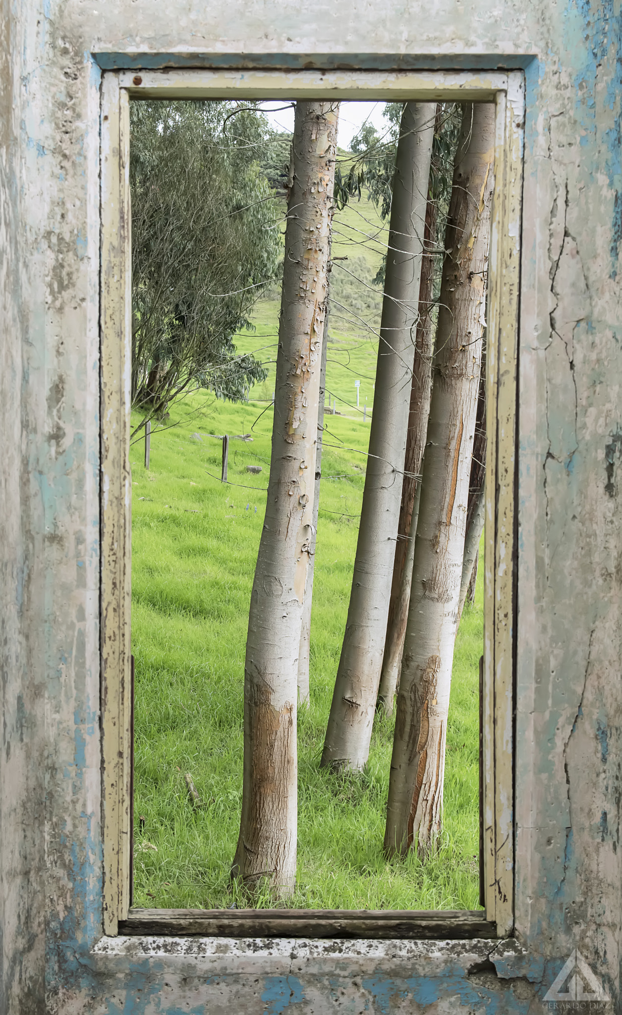 Sigma 17-50mm F2.8 EX DC HSM sample photo. Through the window photography