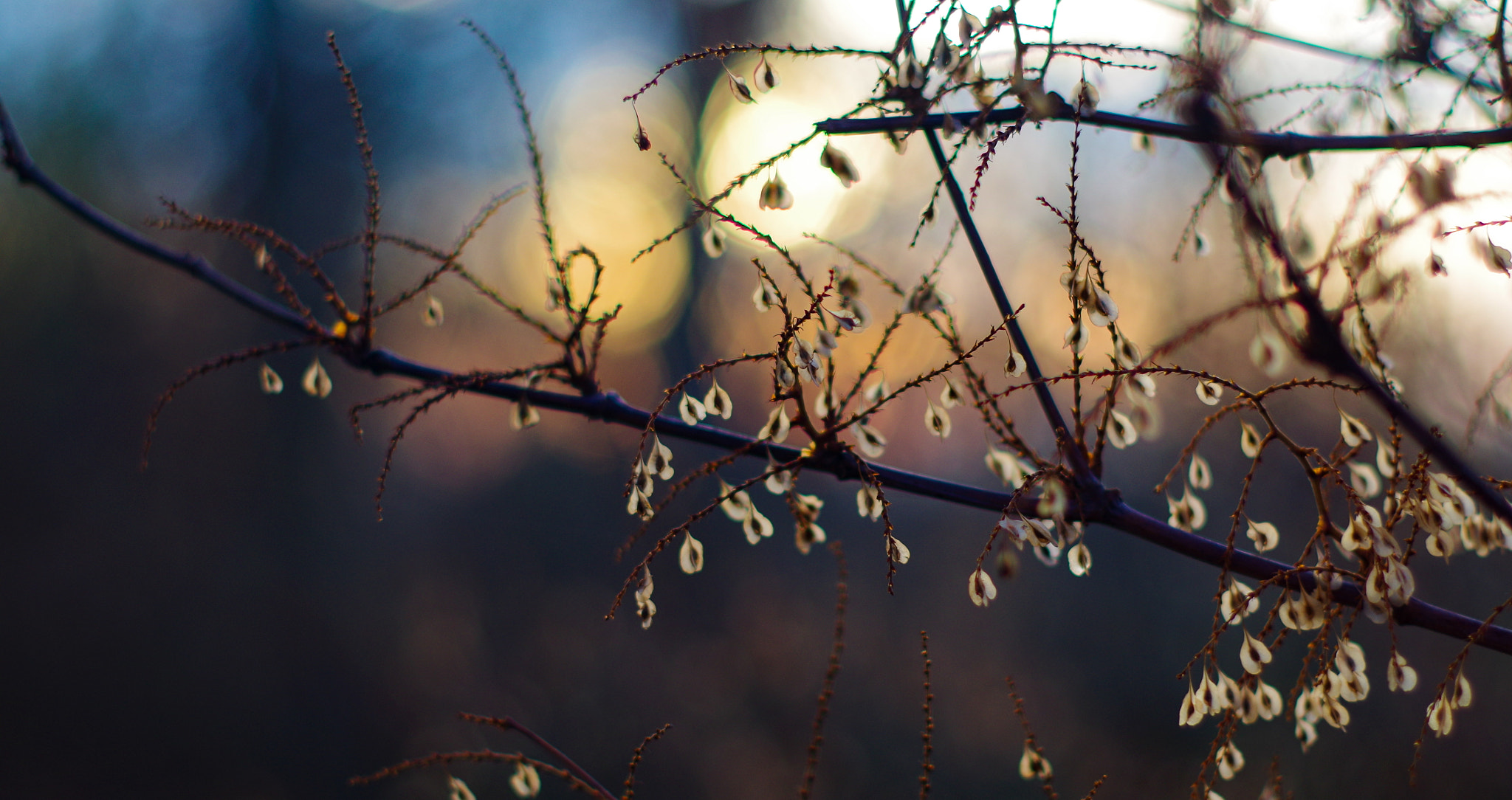 Pentax K-30 sample photo. Colours of fall photography