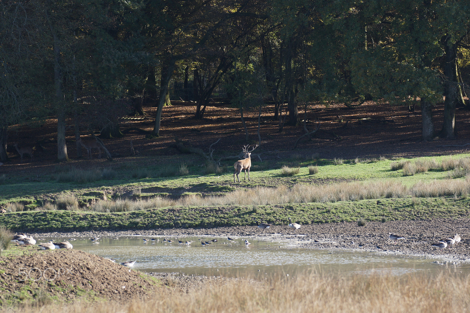 Tamron SP 70-300mm F4-5.6 Di USD sample photo. 1307 photography