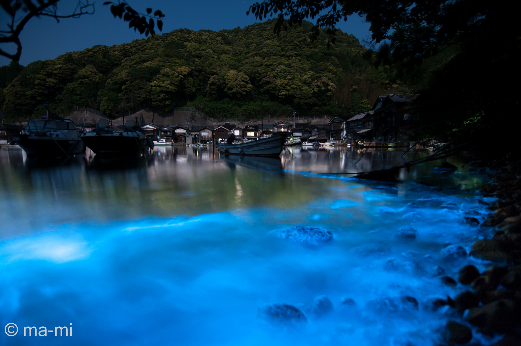 Nikon D300S sample photo. Noctiluca + funaya photography