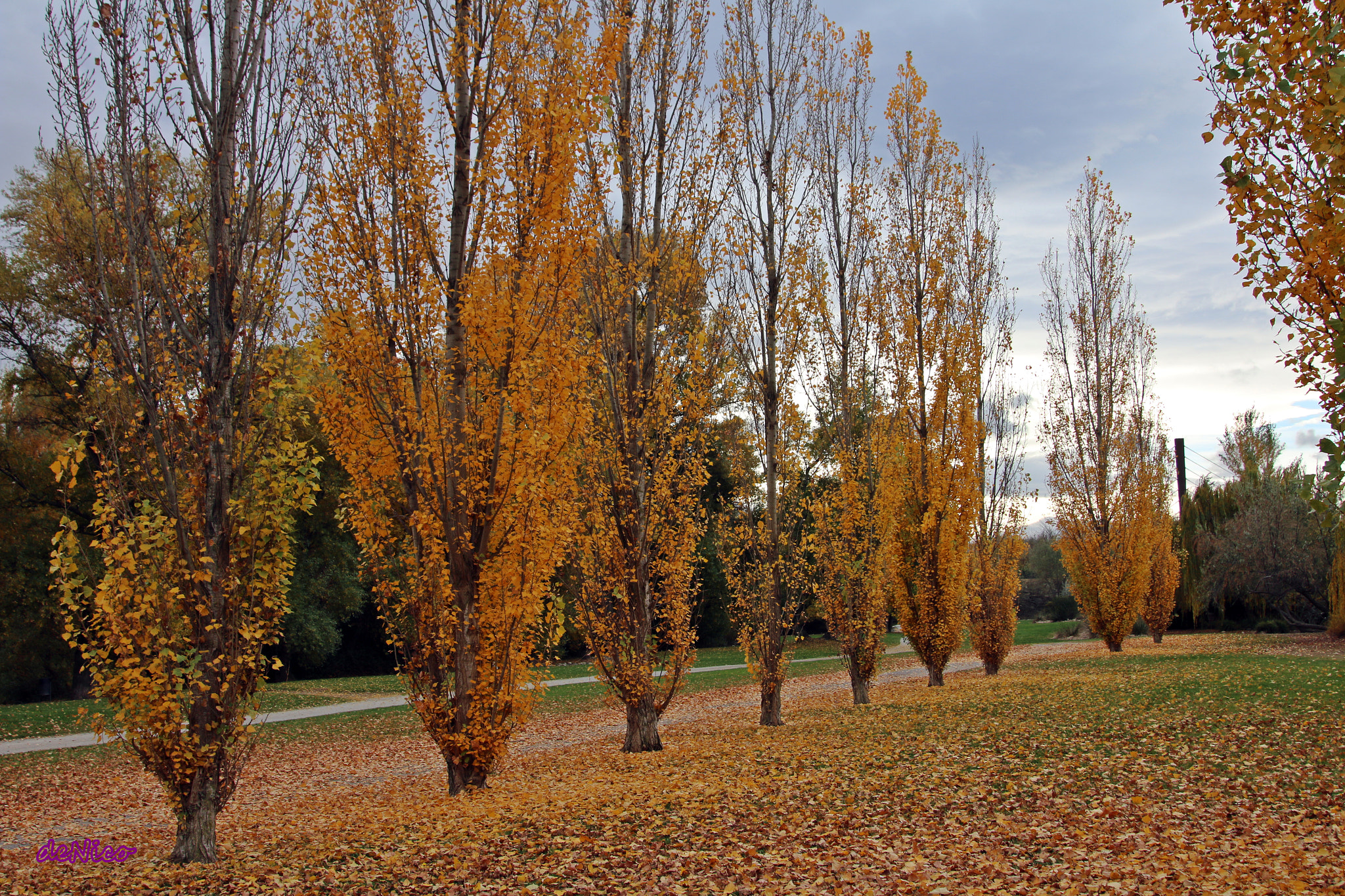 Sigma 24-105mm f/4 DG OS HSM | A sample photo. Img photography